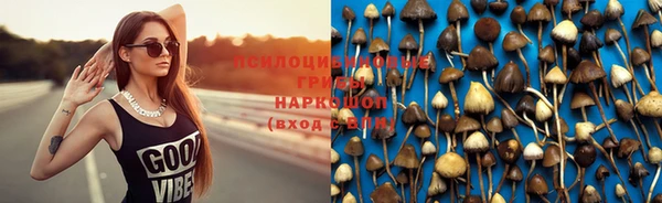 PSILOCYBIN Зеленокумск
