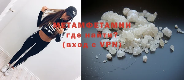 гидра Инта