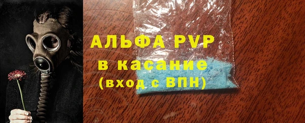 гидра Инта
