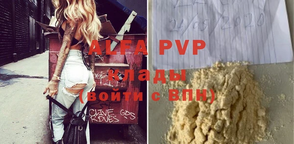 гидра Инта