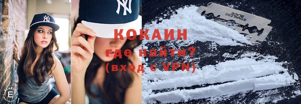 мяу мяу кристалл Иннополис