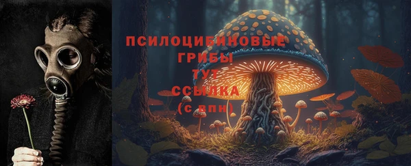 первитин Инсар