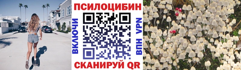Псилоцибиновые грибы прущие грибы  Купить где  Купино 